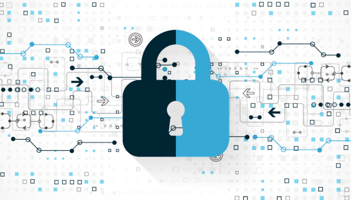 Safeguarding Your Small Business in the Digital Age